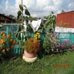 4 mik4_22.jpg